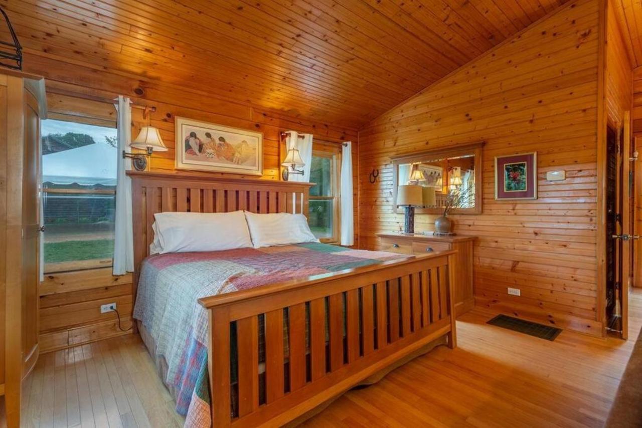 Log Cabin Stunning Mountain Views On 12 Acres Candler Esterno foto